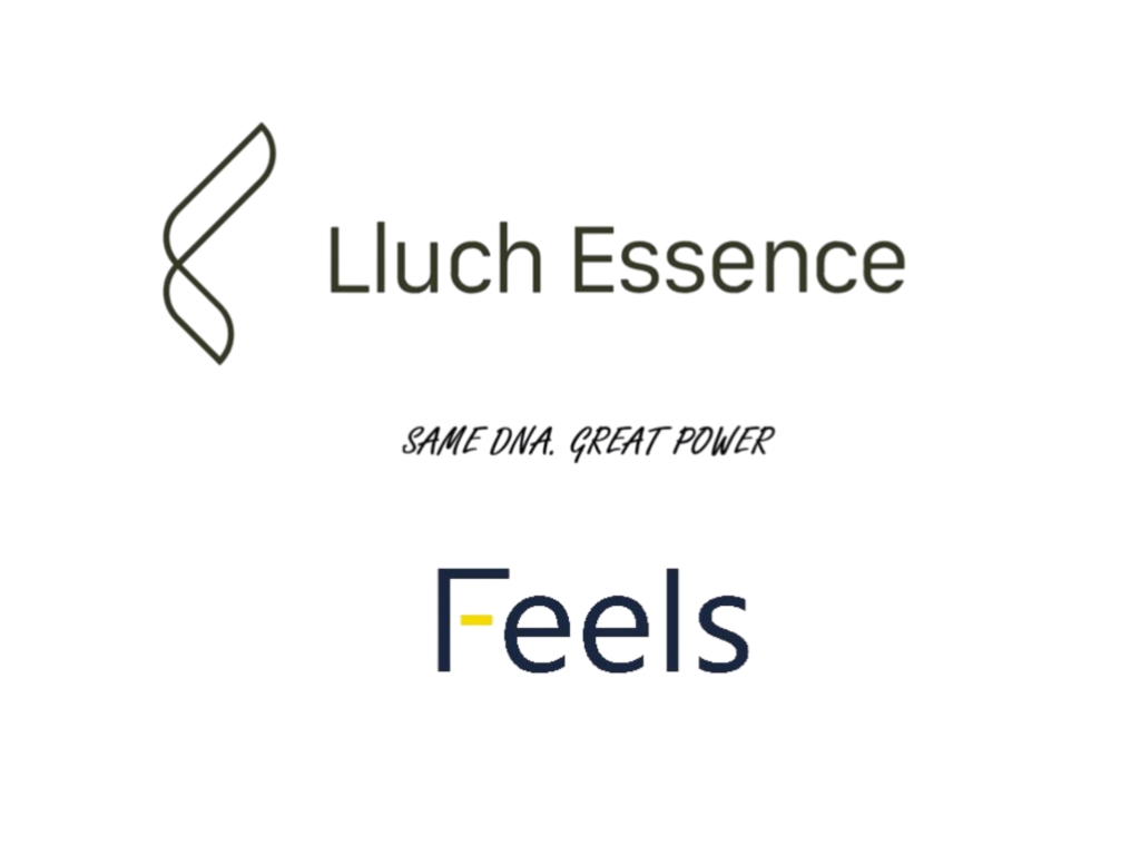 Lluch y Feels