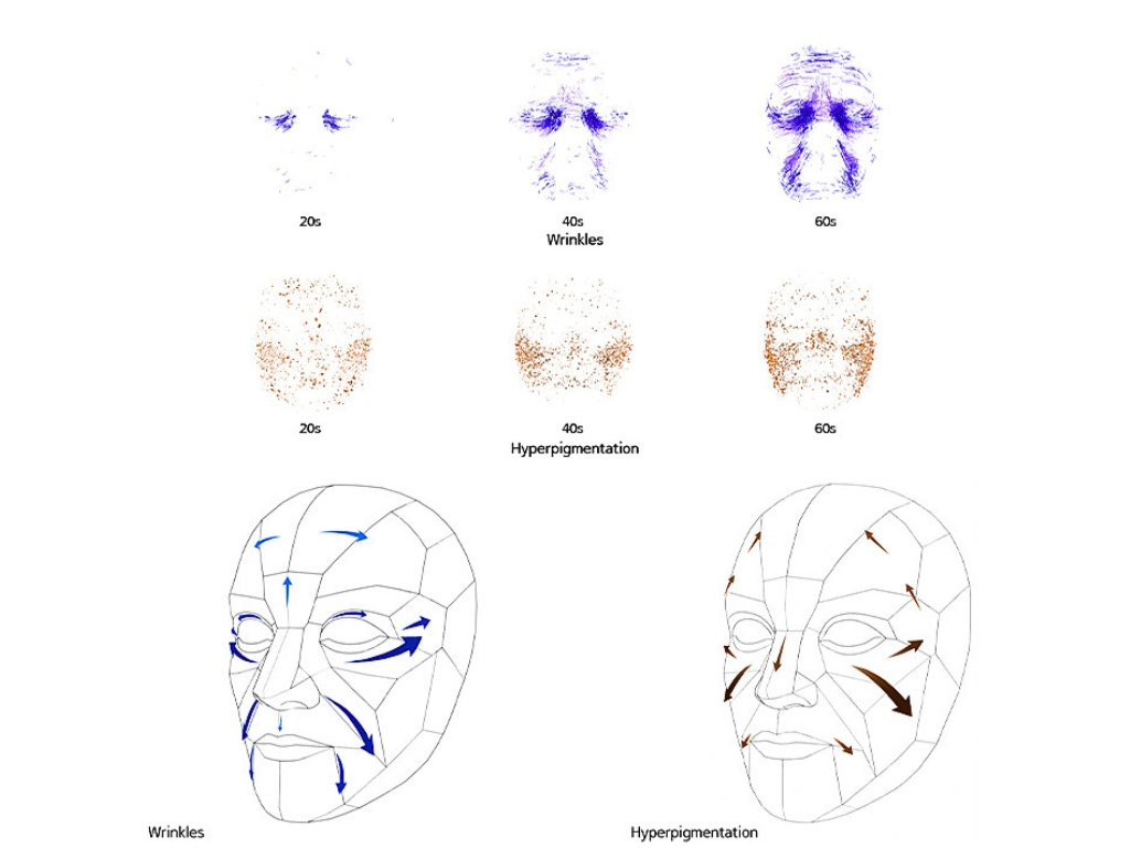 mapa envejecimiento amorepacific