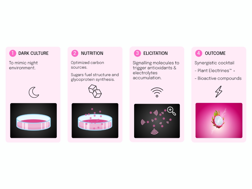 Vytrus Biotech